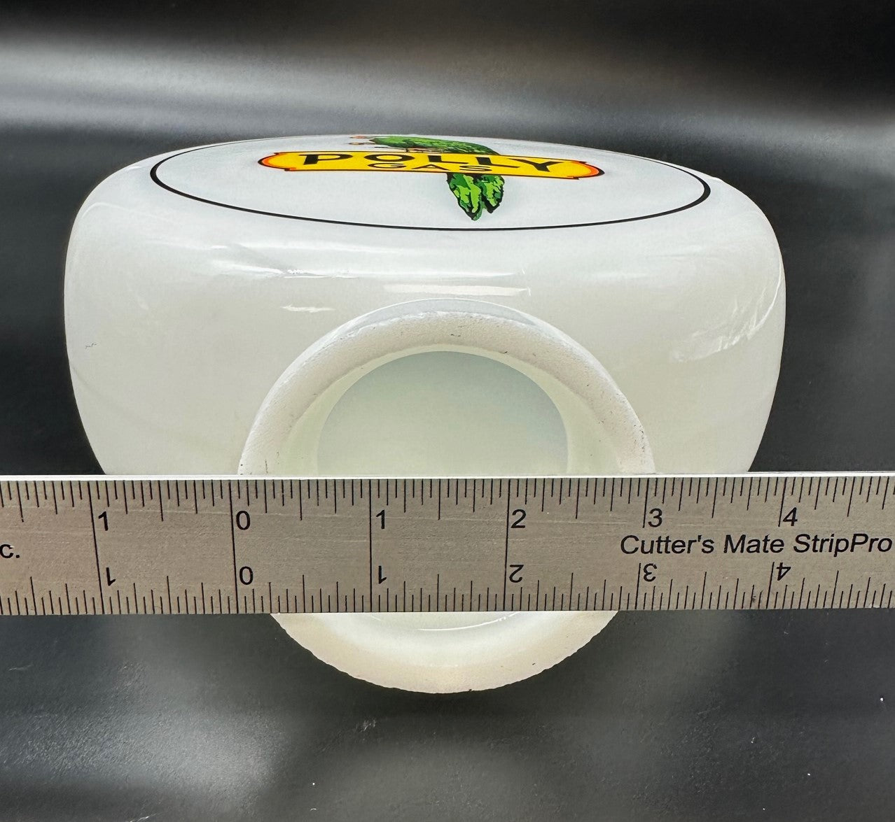 POLLY 8" Mini Globe